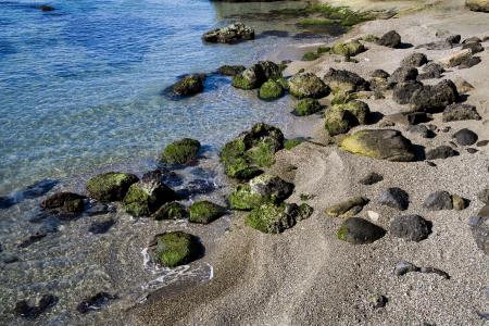 岩石, 沿海, 自然, 石头, 海洋, çaycuma, filyos