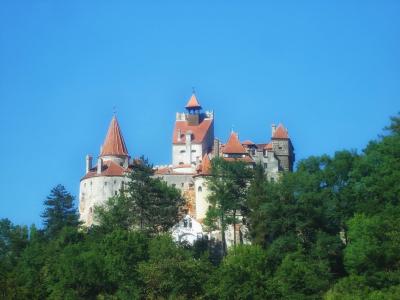 麸皮城堡, 罗马尼亚, 树木, 天空, 具有里程碑意义, 历史, 历史