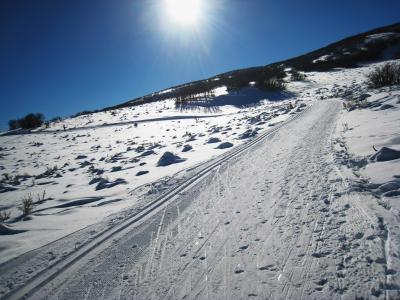 阳光, 高, 山, 滑雪, 线索, 小山, 冬天