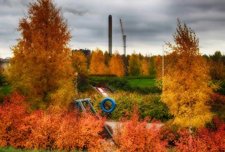 芬兰, 公园, 天空, 云彩, 秋天, 秋天, 自然