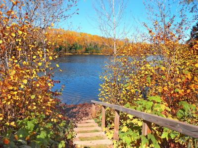 秋天, 湖, 荒野, 自然, 景观, 楼梯, 孤独