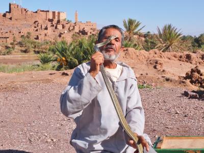 摩洛哥, 蛇的木偶, 旅行, 村庄, 文化, 印度, 男子