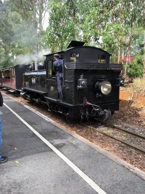 蒸汽机车, 火车, 铁路, 澳大利亚, 老, 森林, 运输