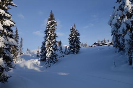 雪, 冬天, 山, 挪威, 利勒哈默尔, hafjell, 1 月