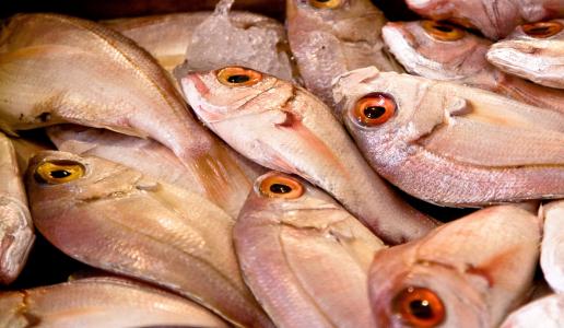 鱼, 市场, 食品, 海鲜, 新鲜, 原始, 地中海
