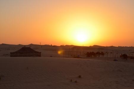 日落, 沙漠, 阿布达比, 骆驼
