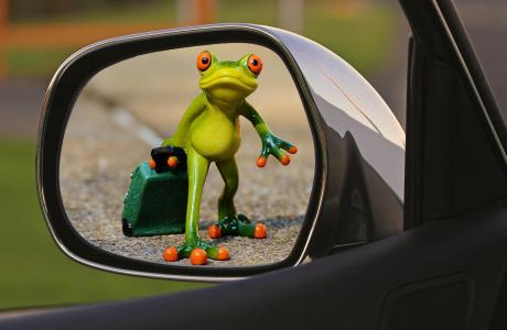 该走了, 青蛙, 告别, 悲伤, 行李, 小车, 有趣