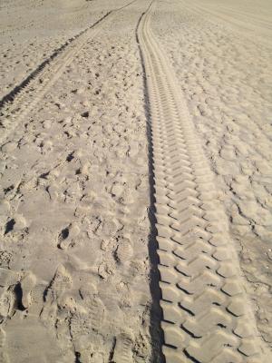 沙子, 痕迹, 沙漠, 转载, 跟踪, 自然, 户外