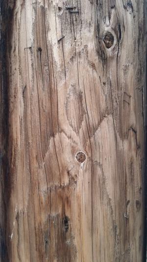 纹理, 木材, 木材纹理背景, 硬木, 木材, 木制, 表面