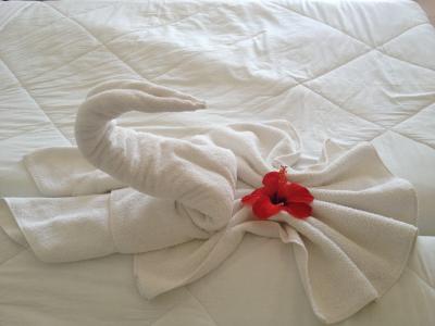 天鹅, 毛巾, 花, 假日, 酒店, 床上, 杰尔巴岛