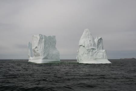 冰山, 纽芬兰省, 海洋, 冰, 冰川, 浮动, 美琪大