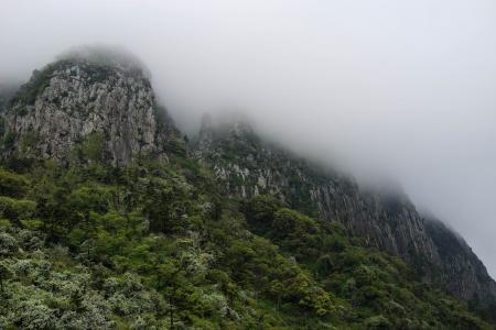 gureumsan, sanbangsan, 济洲岛, 山, 森林, 雾, 早