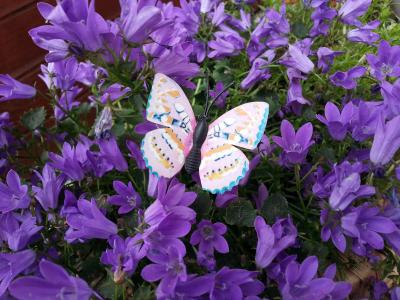 蝴蝶, 昆虫, 公共记录, 花, 紫罗兰色, 夏季, 自然