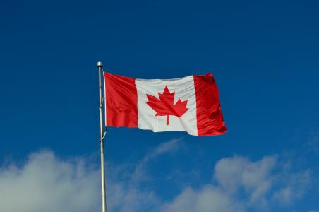 加拿大国旗, 加拿大, 枫树, 国家, 入境事务处, 难民