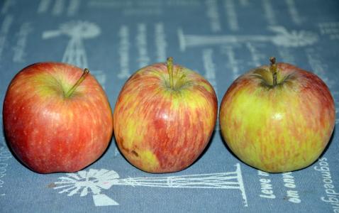苹果, 新鲜, 健康