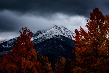 山脉, 覆盖物, 雪, 附近的, 红色, 叶子, 树