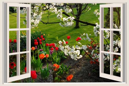 美好的一天, 好心情, 快乐, 郁金香, 花, 窗口, 白色的窗户