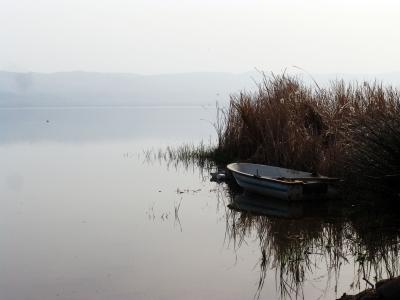 芦苇, 湖, 伊兹尼克, 土耳其, 小船, 水, 平静