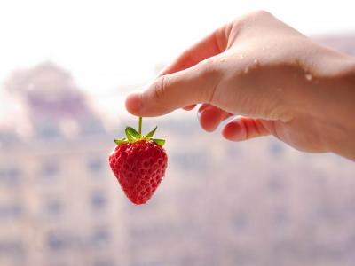 草莓, 手, 水果, 食品, 新鲜, 红色, 成熟