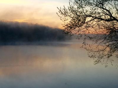 湖, 雾, 树, 日出, 雾, 早上, 户外