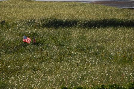 美国国旗, 字段, 旗帜, 草, 草甸, 高高的草丛, 自然