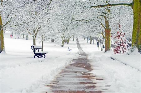 白雪皑皑, 雪, 下雪, 四季, 分公司, 分支机构, 冬天