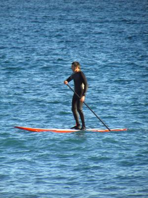 海, 桨, 网上冲浪, 男子, 水, 蓝色, 体育