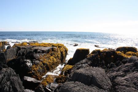 海洋, 岩石, 海岸线, 纽芬兰省, 岩石, 外面, 自然