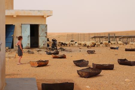 突尼斯, 撒哈拉沙漠, 靠近利比亚边境
