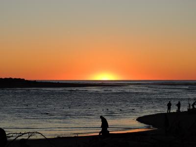 日落, 橙色, 海岸, 俄勒冈州, 剪影, 太阳, 景观