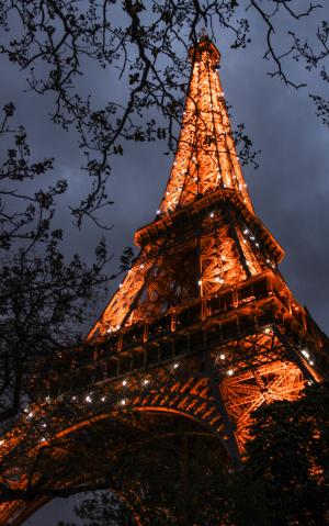 晚上, 照明, 巴黎, 法国, 照明, 灯, 旅游