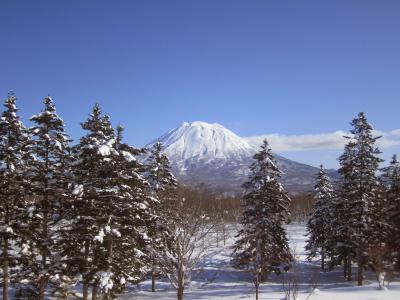芒 yotei, 二世古, 日本, 滑雪, 雪, 单板滑雪, 粉雪