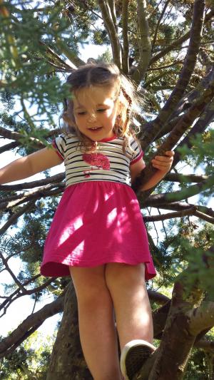 女孩, 树, 攀爬, 夏季, 年轻, 小, 快乐的女孩
