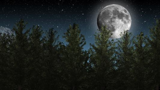月亮, 夜晚的天空, 星星, 树木, 自然, 天文学, 明星-空间