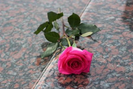 粉红色的玫瑰, 红色大理石, 墓碑, 坟墓, 符号, 爱