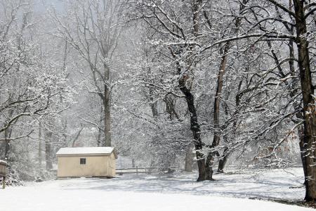 冬天, 雪, 感冒, 赛季, 弗罗斯特, 景观, 降雪量