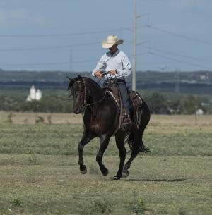 牛仔, 四分之一马, 教练, 牧场, 西方, 帽子, 动物