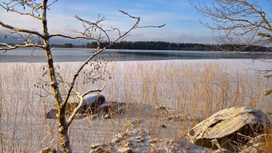 冬天, 海滩, 芬兰语, 感冒, 景观