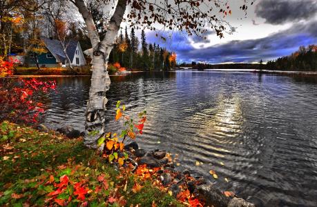 秋季景观, 秋天, 景观, 叶子, 宁静, 多彩, 明亮的颜色