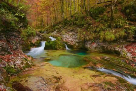 水道, 秋天, 水, 颜色, 景观, 森林, 秋天的树林