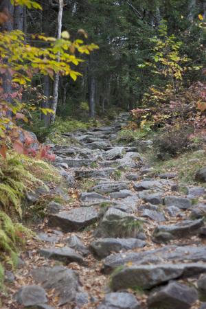 徒步旅行, 自然, 路径, 通路, 岩石, 石头, 线索
