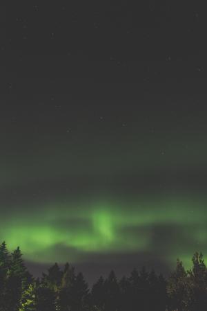 绿色, 奥罗拉, 北欧化工, 星级, 北极光, 轻的夜, 晚上