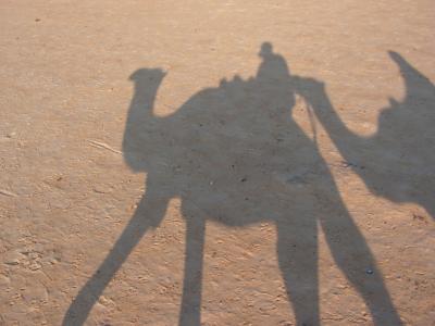 旅行, 突尼斯, 骆驼, 阴影, 沙子, 沙漠