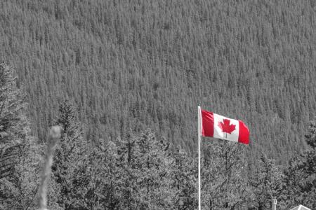 加拿大, 加拿大国旗, 国家公园, 国旗, 户外