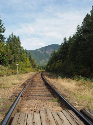 加拿大, 铁路, 跟踪, 火车, 铁路轨道, 运输, 自然