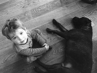 狗, 蹒跚学步, 宠物, 可爱, 儿童, 男孩, 黑色和白色