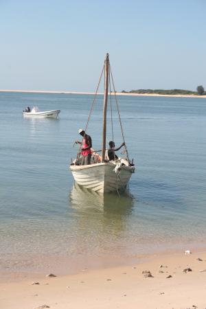 托, 渔民, 莫桑比克, 小船, 船舶, 传统, 海