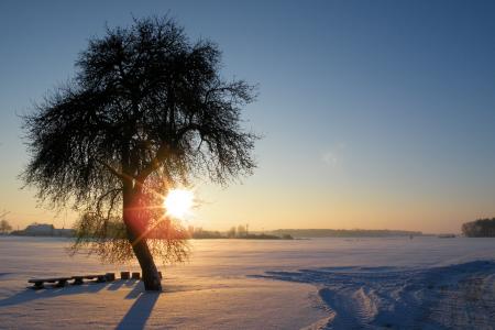 日出, 冬天的印象, 寒冷, 雪, 感冒, 冬天, 冬天的魔法