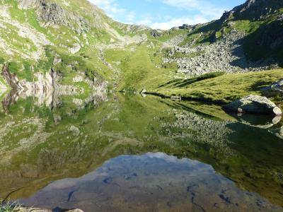 bergsee, 高山湖, 湖, 山脉, 徒步旅行, 奥地利, 水晶般清澈