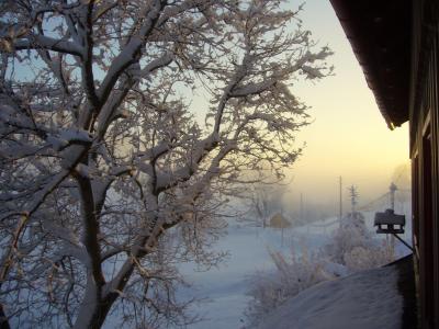 雪, 冬季爆炸, 景观, morgenstimmung